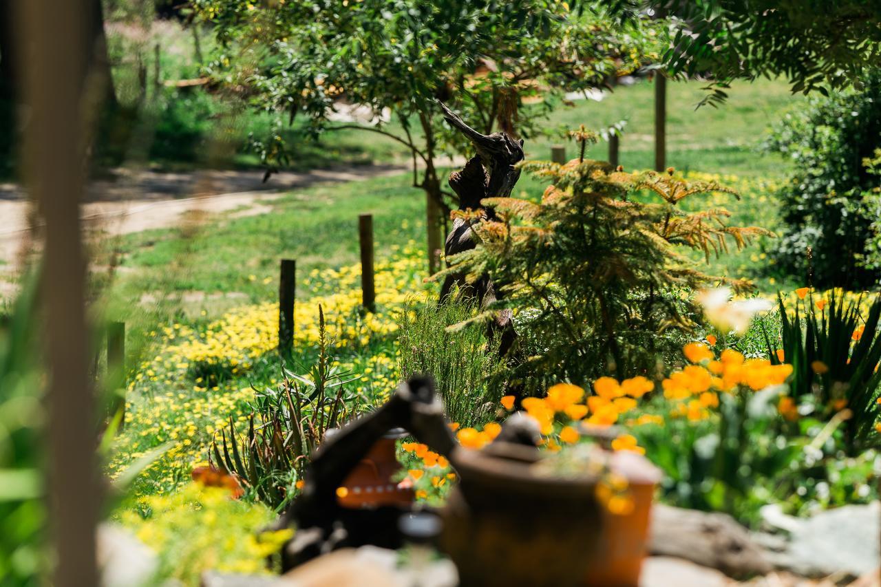 Riverlane Resort Guerneville Ngoại thất bức ảnh