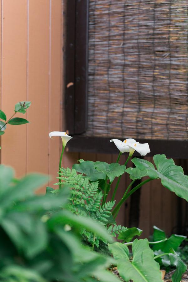 Riverlane Resort Guerneville Ngoại thất bức ảnh